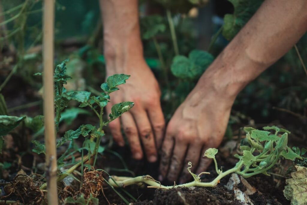 Test your soil