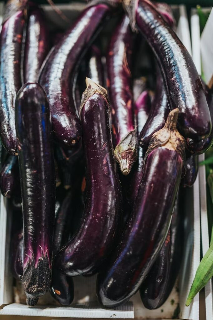 Are eggplants gourds