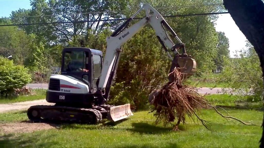 Scoop the stump away from the hole